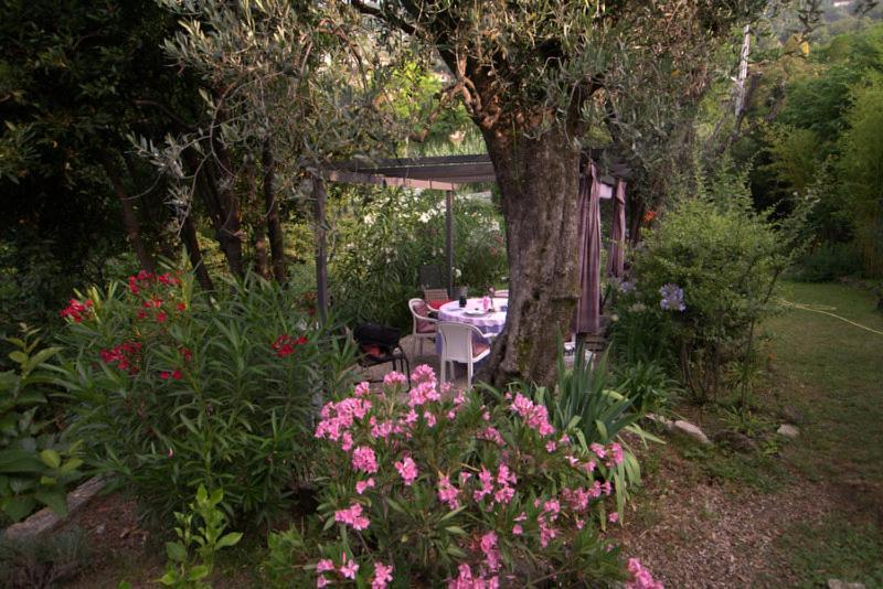Bastide De La Lauve Bed & Breakfast Magagnosc Екстериор снимка