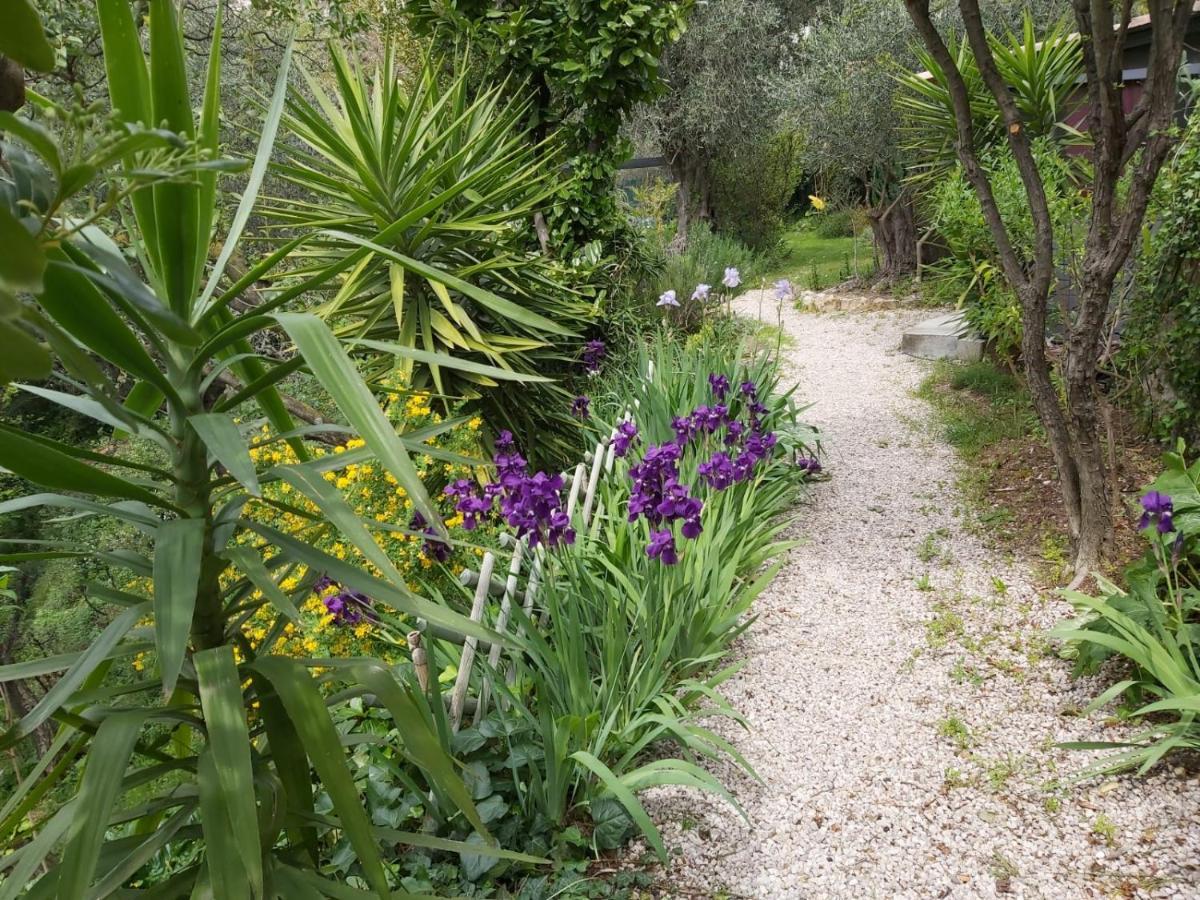 Bastide De La Lauve Bed & Breakfast Magagnosc Екстериор снимка
